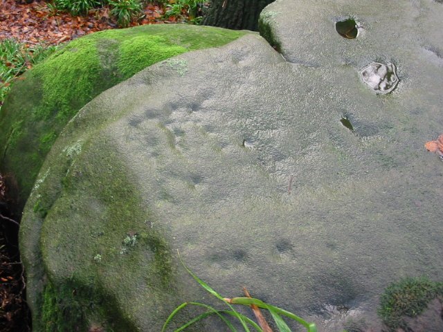 Rowtor Rocks (Cup and Ring Marks / Rock Art) by stubob
