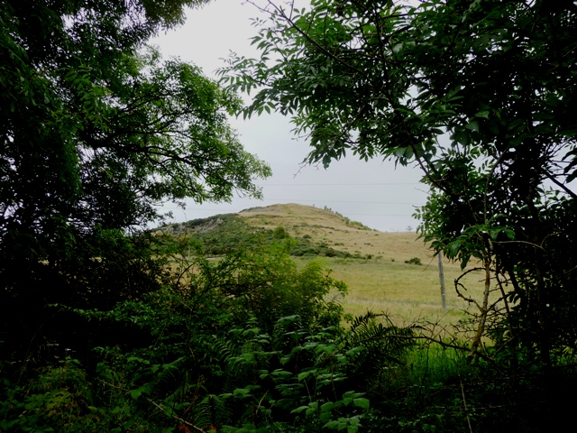 Castle Law (Abernethy) (Hillfort) by drewbhoy