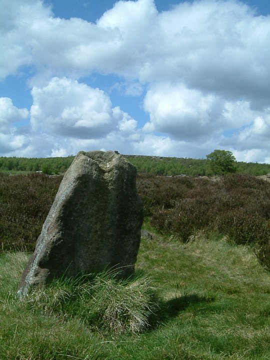 Lawrence Field (Stone Circle) by stubob