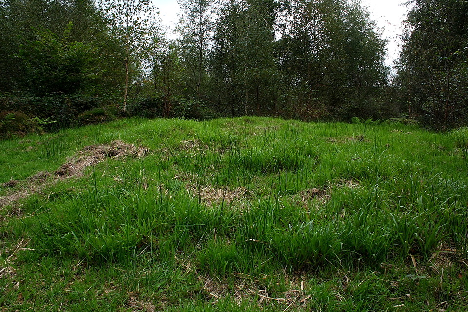 Foresters Oaks Round Barrow (Round Barrow(s)) by GLADMAN