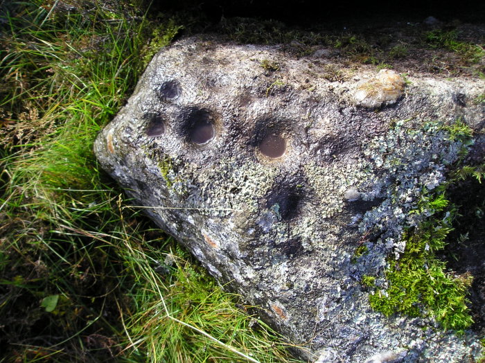 Glen Clune (Cup Marked Stone) by tiompan