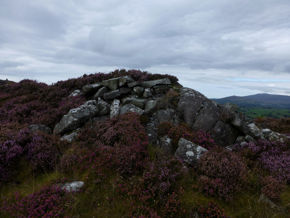 Moel y Gest (Hillfort) by thesweetcheat