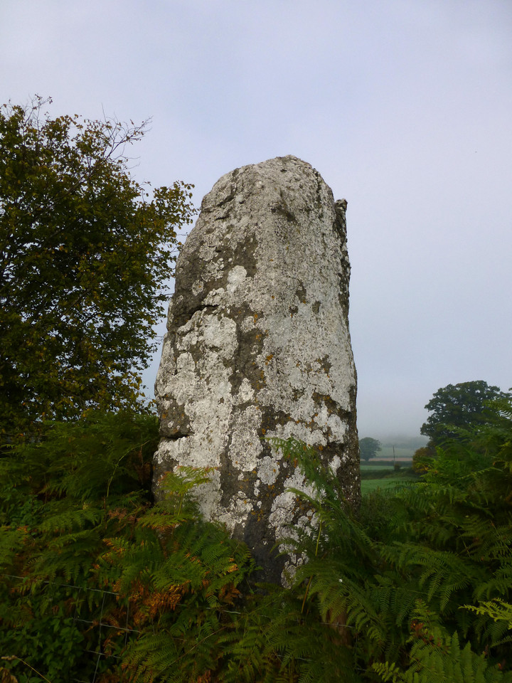 Llangynidr Stone (Standing Stone / Menhir) by thesweetcheat