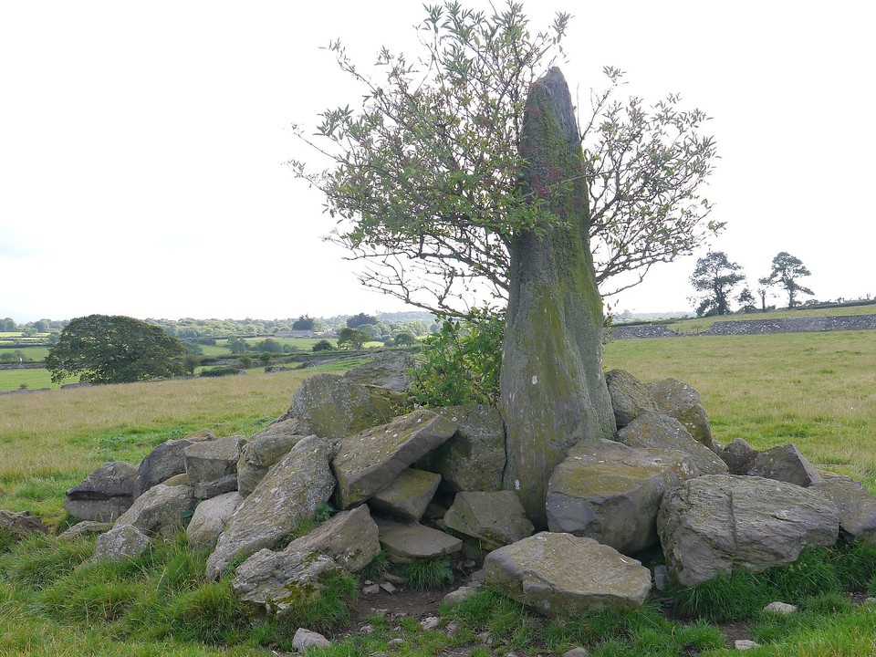 Tyddyn Bach Standing Stone (Standing Stone / Menhir) by Meic