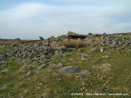 Carn Menyn Chambered Cairn (Chambered Cairn) by Kammer
