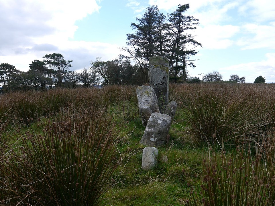 Ardrah (Stone Row / Alignment) by Meic