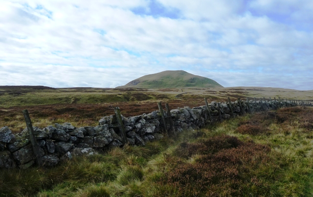 West Lomond Hill (Cairn(s)) by drewbhoy