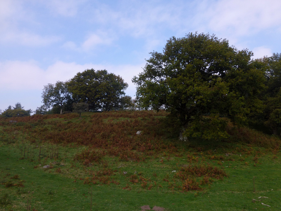 Tump Wood Camp (Hillfort) by thesweetcheat