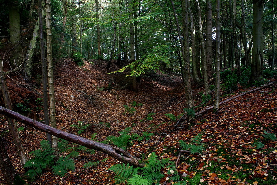 Nesscliffe Hill Camp (Hillfort) by GLADMAN