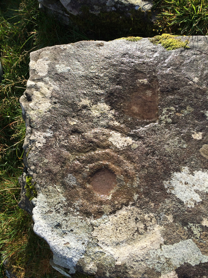 An Choill Mhór (Kilmore) (Cup and Ring Marks / Rock Art) by ryaner