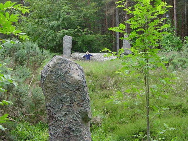 Cothiemuir Wood (Stone Circle) by a23