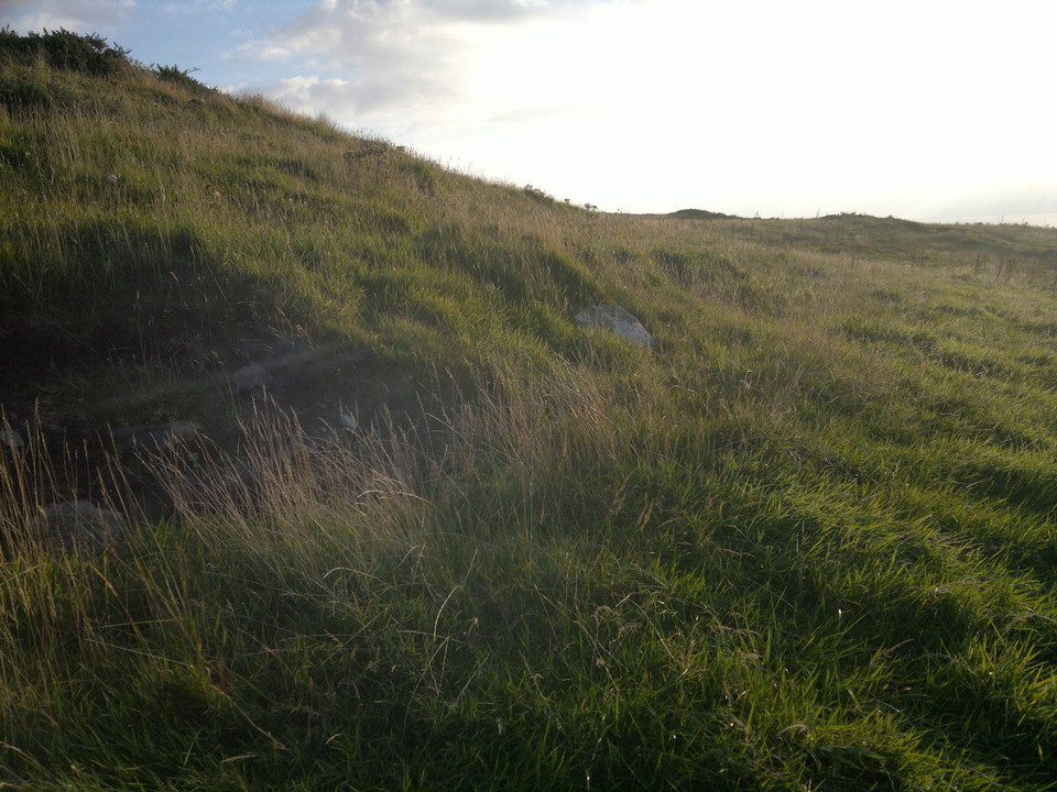 Slockmill Fort (Hillfort) by spencer