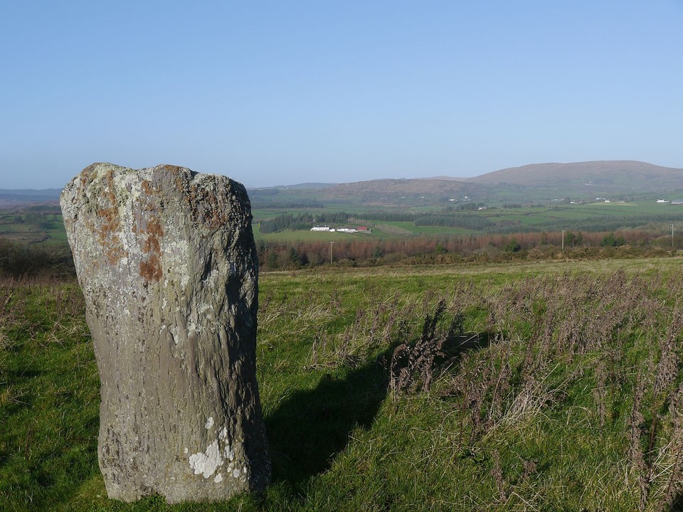 Lyre (Standing Stone / Menhir) by Meic