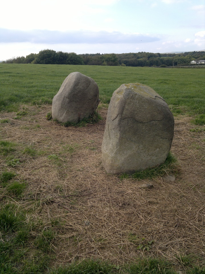 Blairbuy Standing Stones (Standing Stones) by spencer