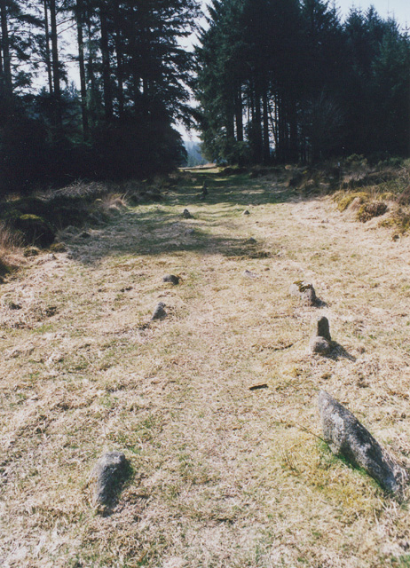 Fernworthy stone row (North) (Stone Row / Alignment) by stewartb