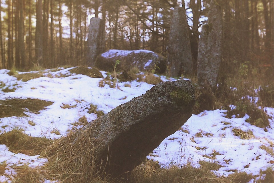 Cothiemuir Wood (Stone Circle) by ironstone