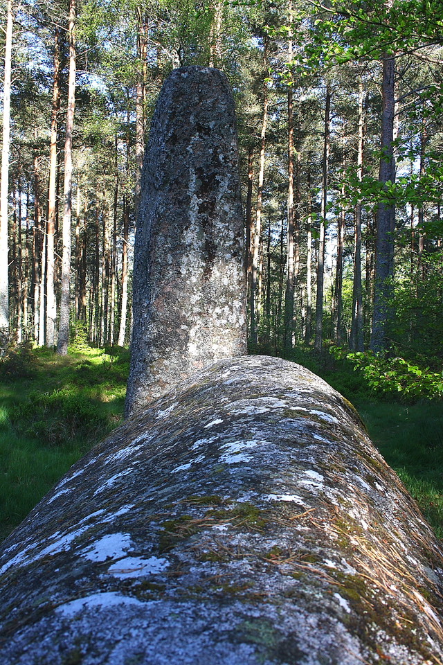 Cothiemuir Wood (Stone Circle) by GLADMAN