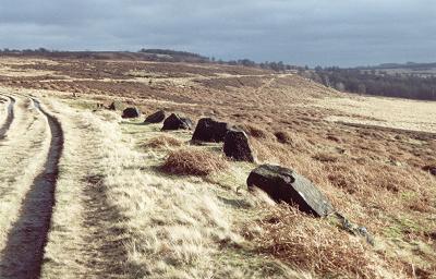 Barbrook Stone Row (Stone Row / Alignment) by wiccaman9