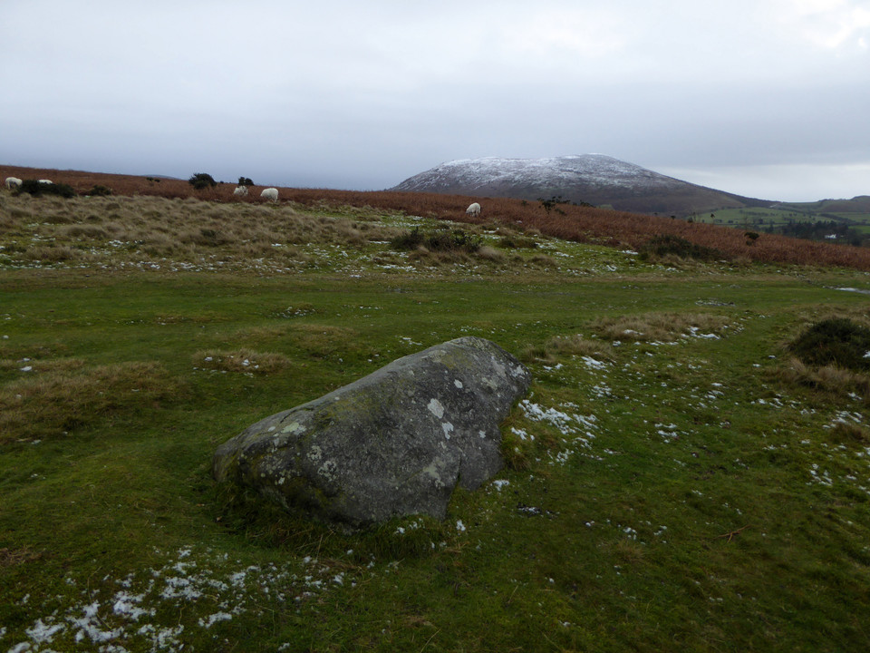 The Cow Stone (Standing Stone / Menhir) by thesweetcheat