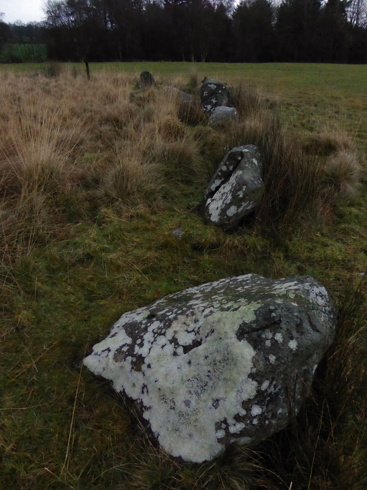 The Hoarstones (Stone Circle) by thesweetcheat