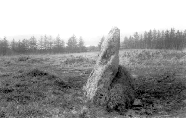 Heath Stone (Standing Stone / Menhir) by pure joy