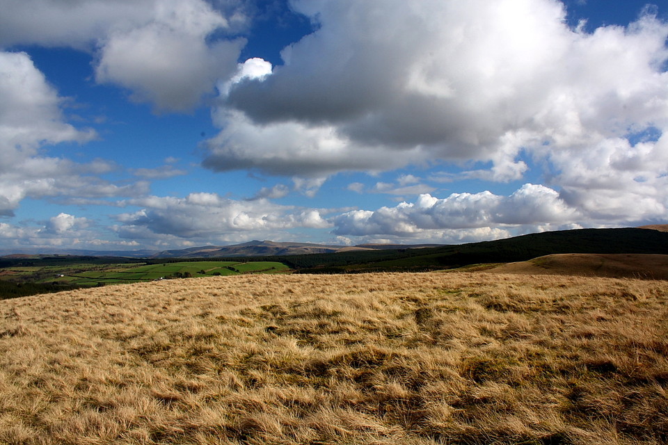 Foel Darw, Y Mynydd Du (Round Cairn) by GLADMAN