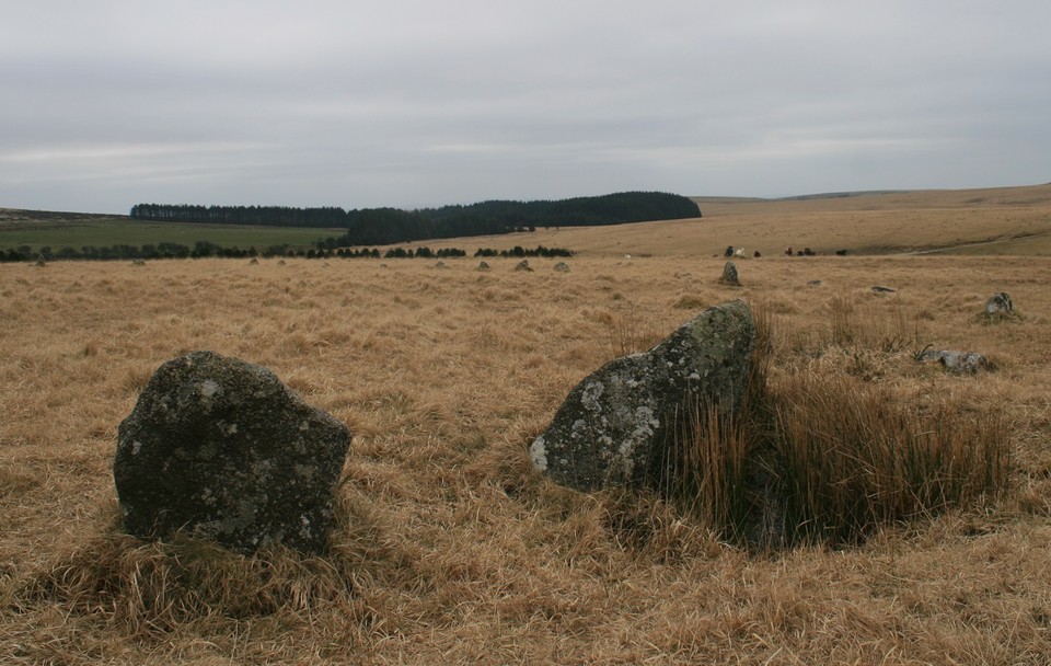 Fernacre (Stone Circle) by postman