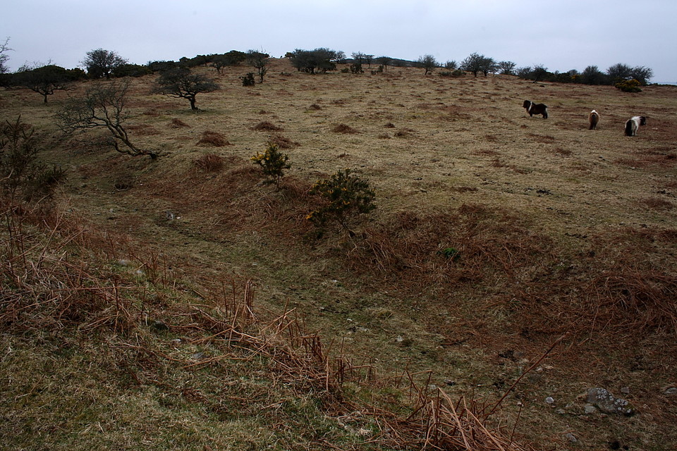 East Hill (Hillfort) by GLADMAN