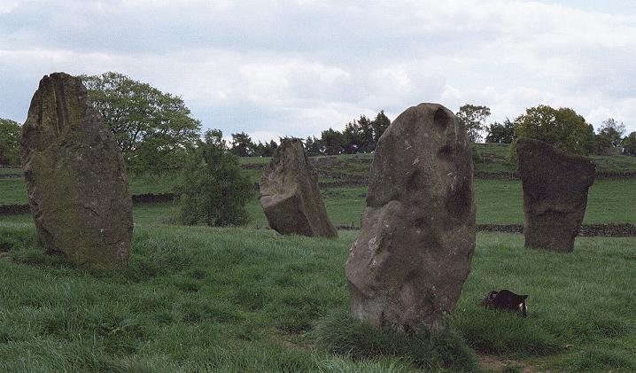 Nine Stones Close (Stone Circle) by fitzcoraldo