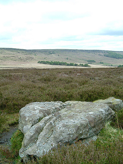 Bamford Moor South (Stone Circle) by stubob