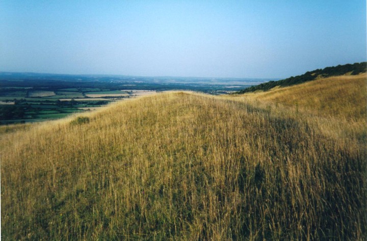Windover Long Mound (Long Barrow) by Cursuswalker