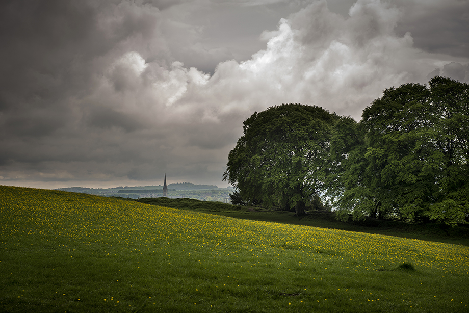Old Sarum (Hillfort) by A R Cane