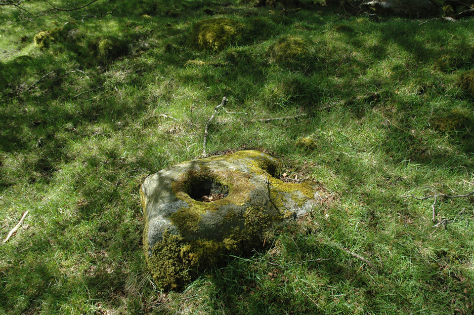 Carrigeenduff (Bullaun Stone) by ryaner