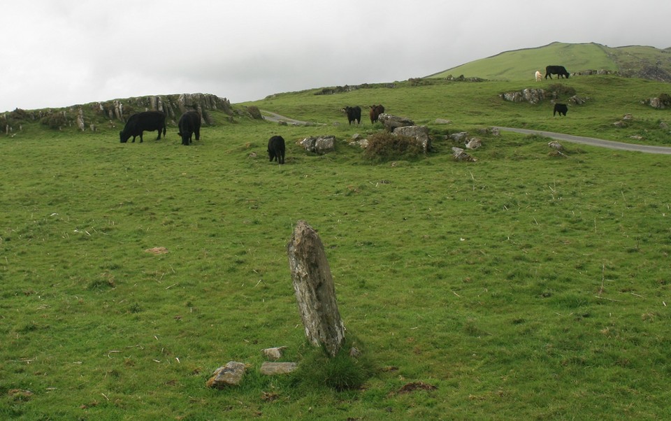 Fonlief Hir Stone C (Standing Stone / Menhir) by postman
