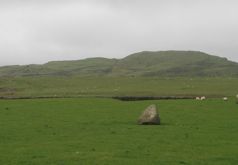 Moel Goedog Stone 3 (Standing Stone / Menhir) by postman