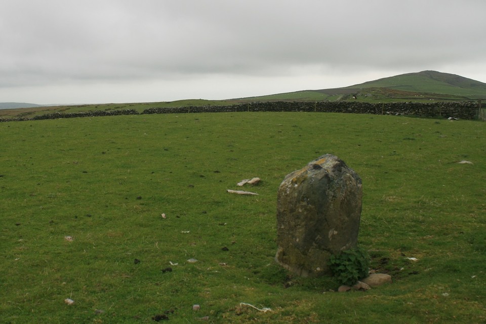Moel Goedog Stone 1 (Standing Stone / Menhir) by postman