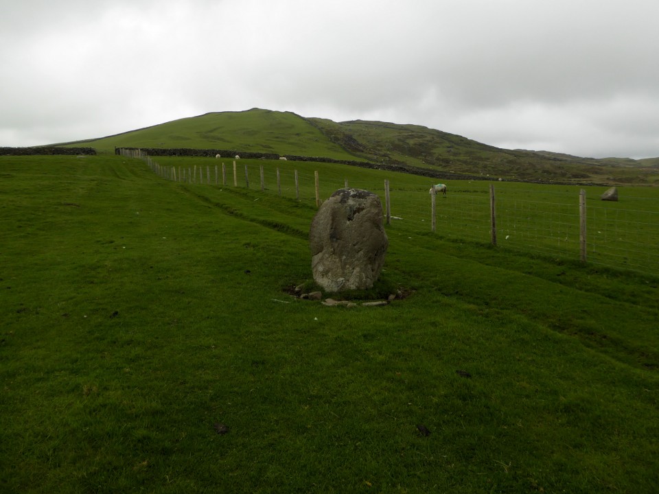 Moel Goedog Stone 2 (Standing Stone / Menhir) by thesweetcheat