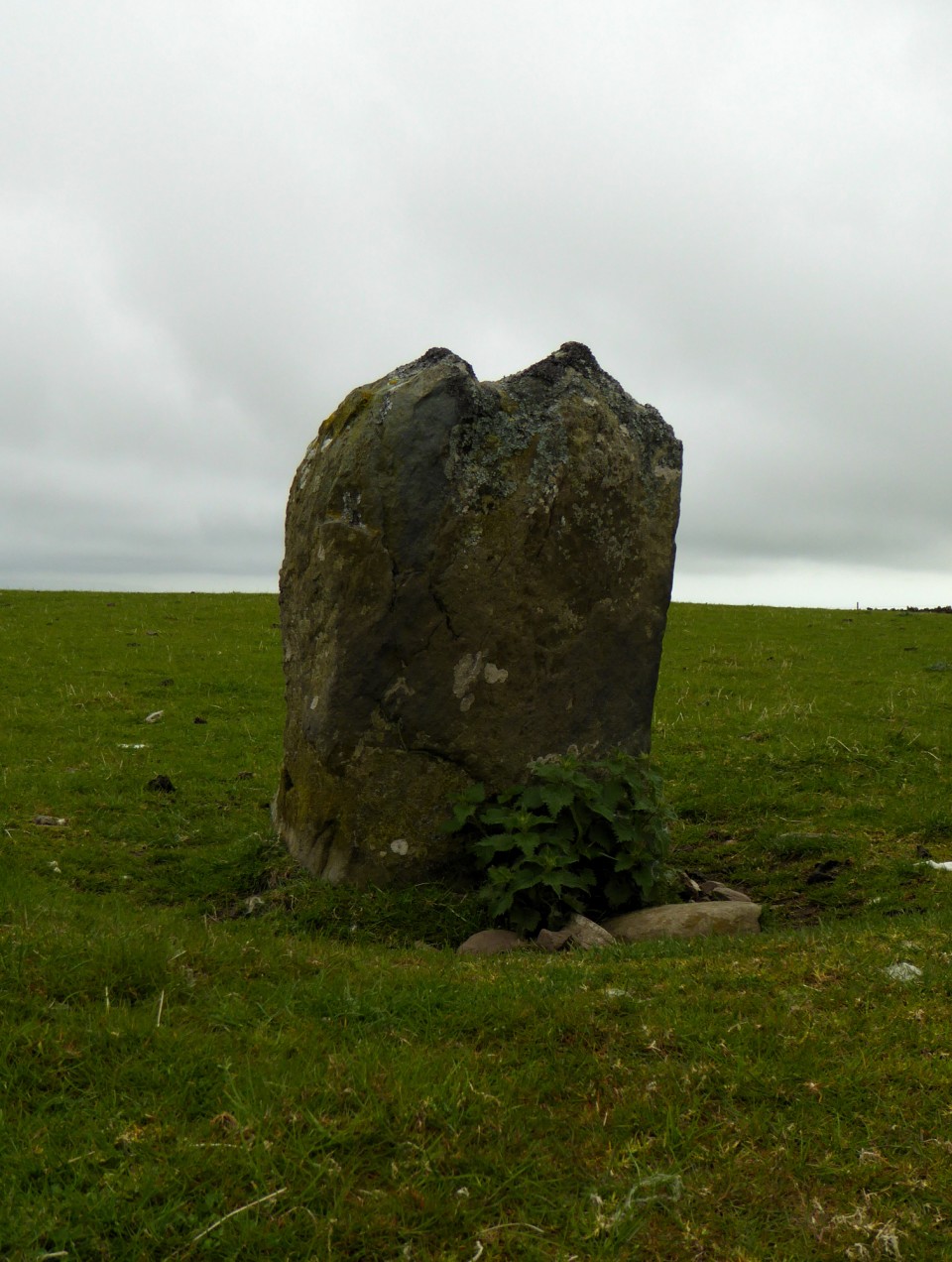 Moel Goedog Stone 1 (Standing Stone / Menhir) by thesweetcheat