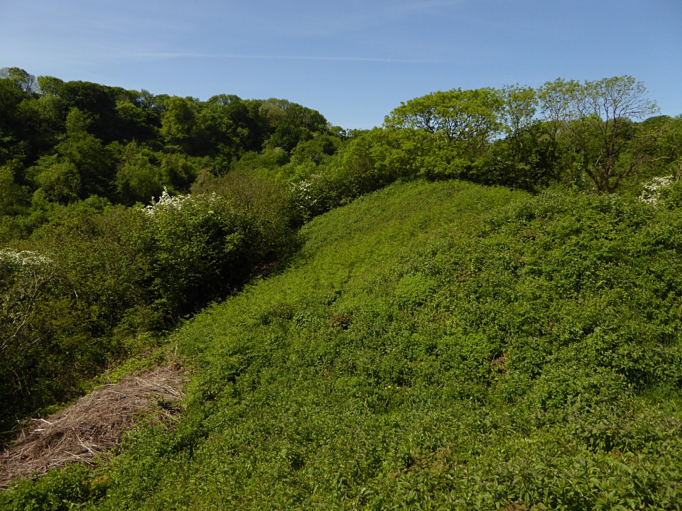 Bishopston Valley (Promontory Fort) by thesweetcheat