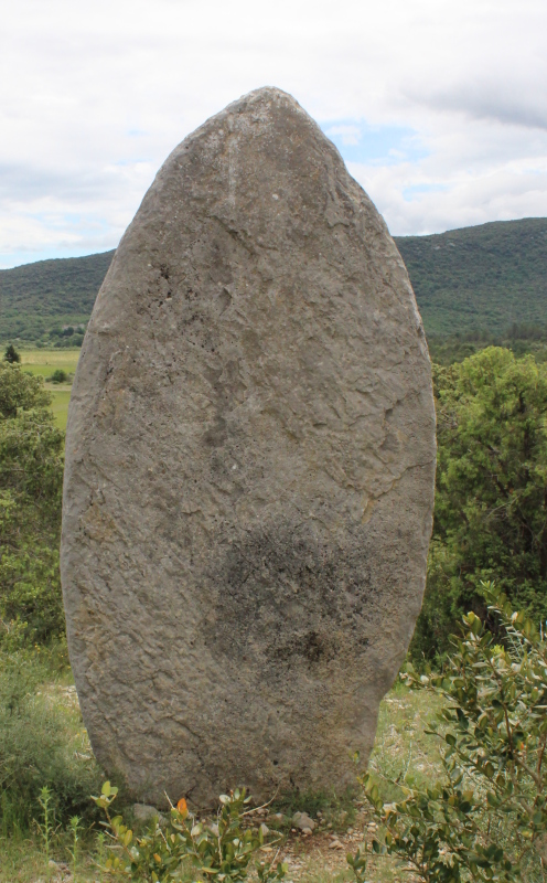 Menhir Ginestous (Standing Stone / Menhir) by tiompan