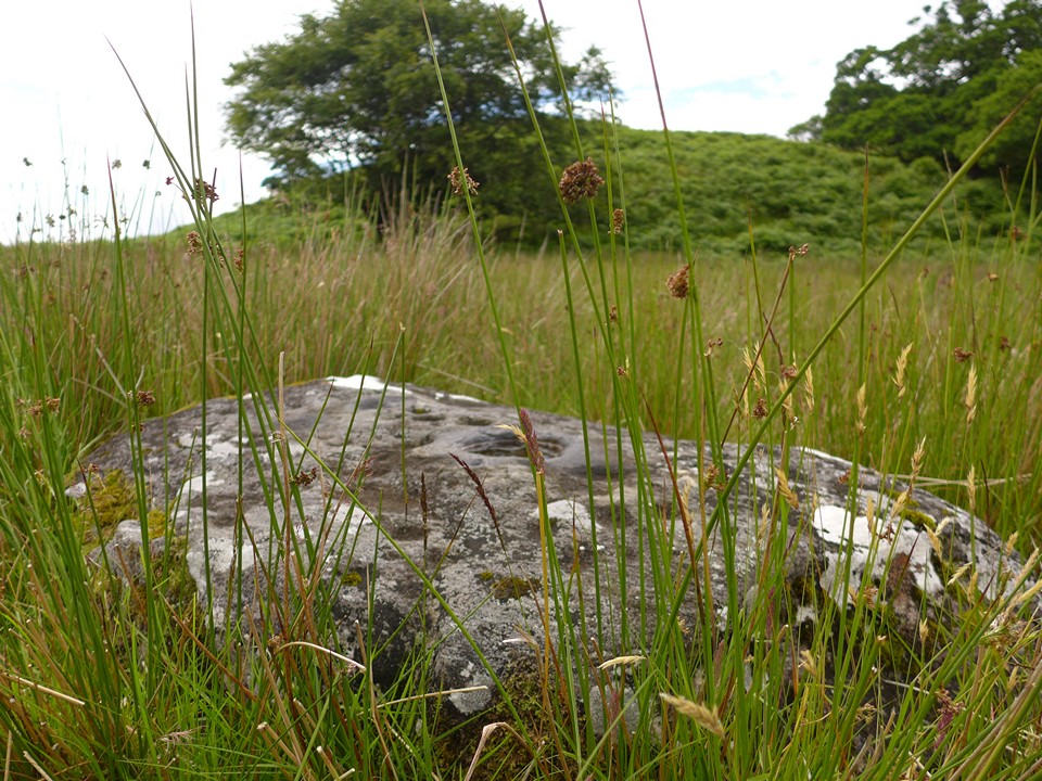 Arisaig House (Cup Marked Stone) by thelonious