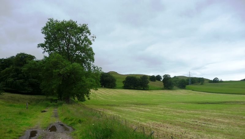 Castle Hill (Meams) (Hillfort) by drewbhoy