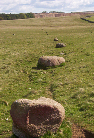 Castlehowe Scar Stone Row (Stone Row / Alignment) by Oneida