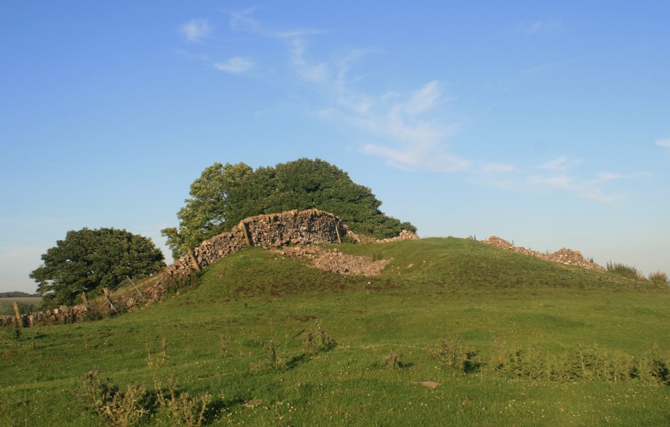 Pea Low (Chambered Cairn) by postman