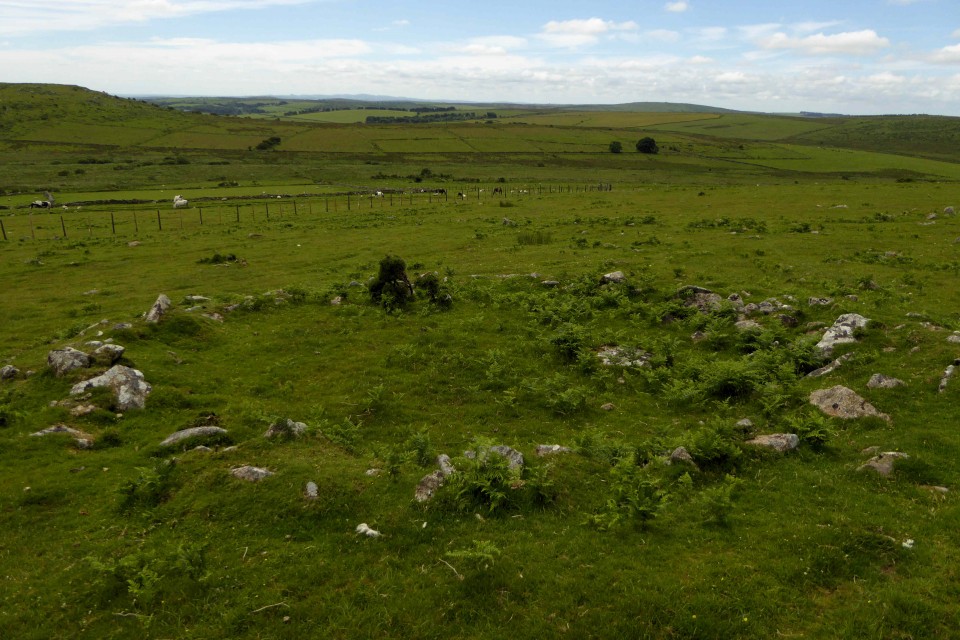 Langstone Downs settlement (Ancient Village / Settlement / Misc. Earthwork) by thesweetcheat