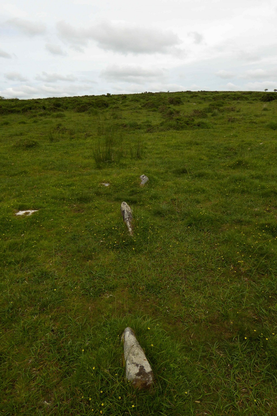 Craddock Moor Stone Row (Stone Row / Alignment) by thesweetcheat