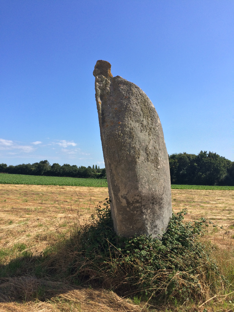 Menhir de Kerluir (Standing Stone / Menhir) by ryaner