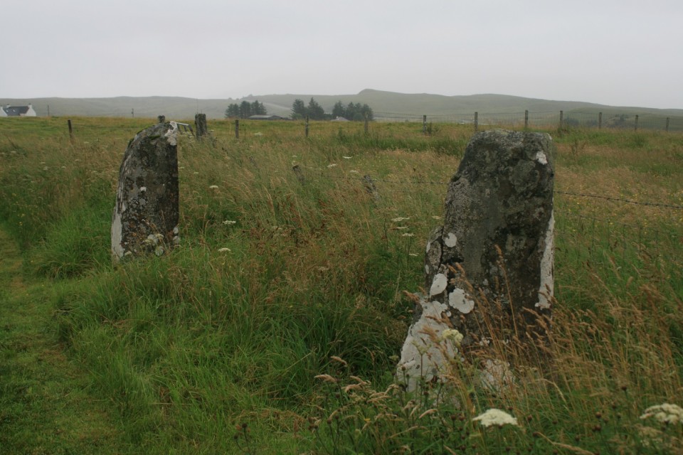Borve (Isle of Skye) (Stone Row / Alignment) by postman