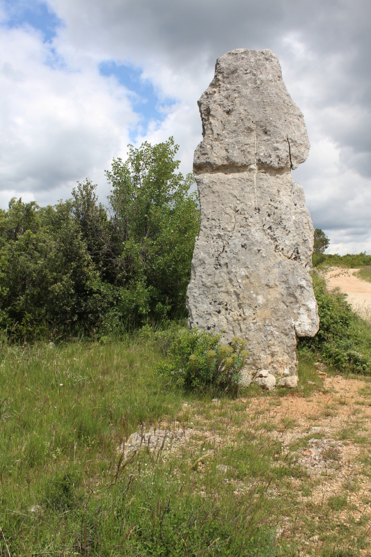 Lacam des Lavagnes (Standing Stone / Menhir) by tiompan