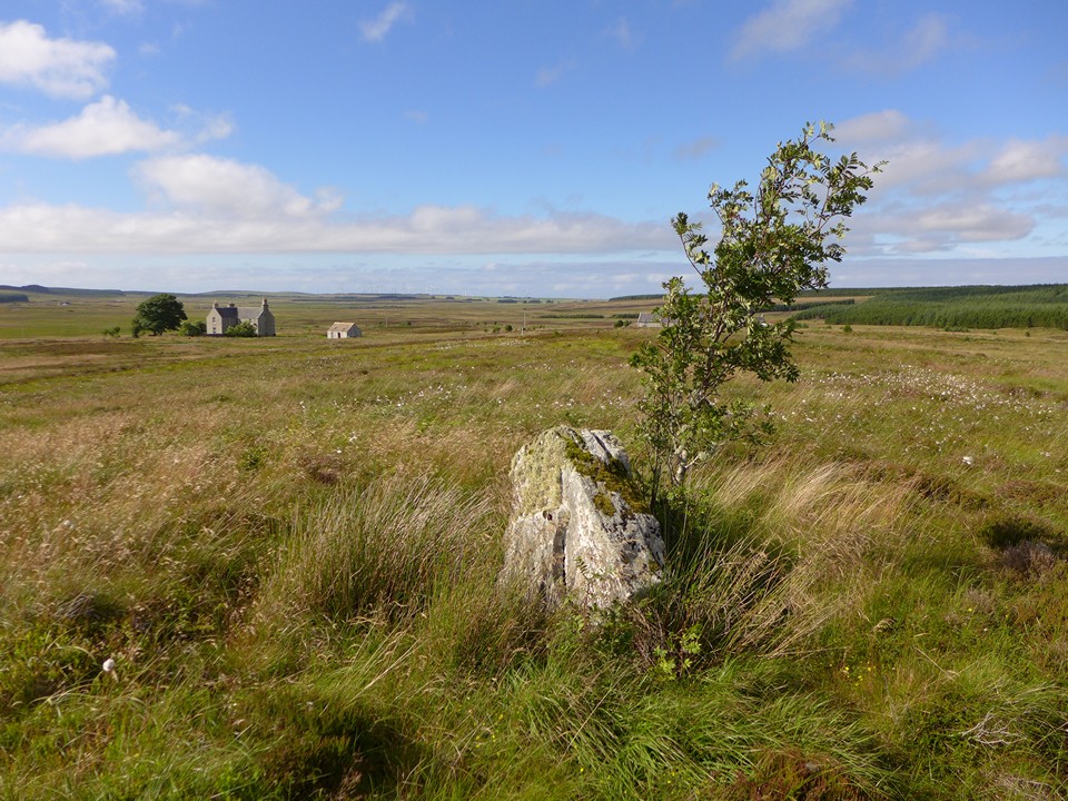 Shurrery Kirk (Standing Stone / Menhir) by thelonious
